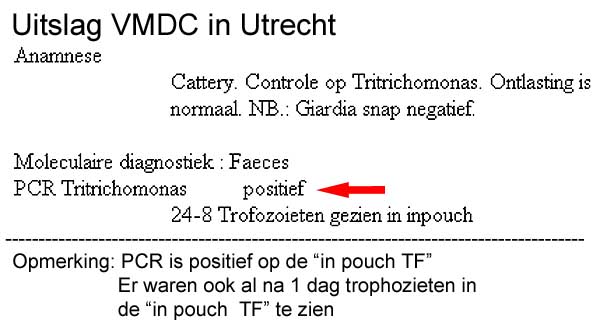 Een positieve tritrichomonas test alleen op de in pouch tf